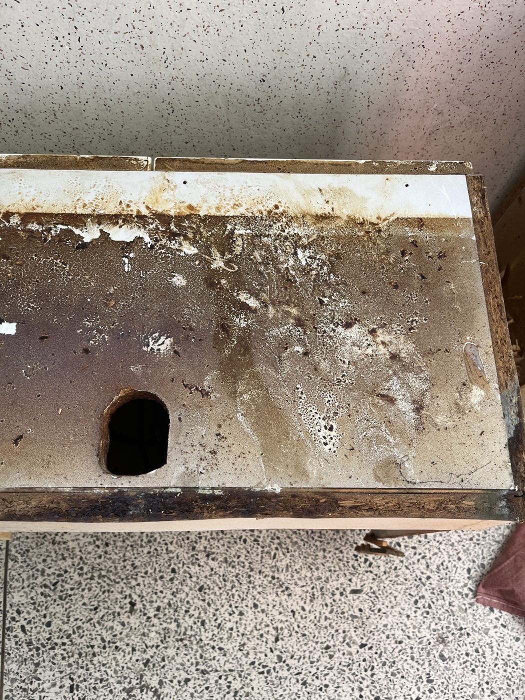 철거한 상부장 뒷면 곰팡이