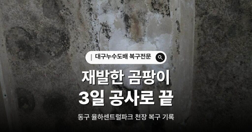 대구누수도배 곰팡이 재발 복구 - 율하센트럴파크 대표이미지